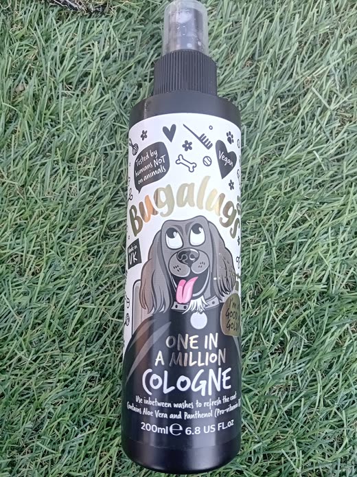A border collie holding a tennis ball, dental paste beside it